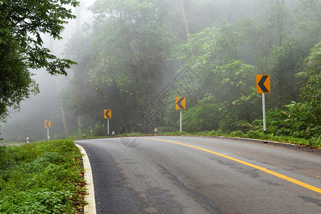 缠绕与自然林和雾雨相交的公路天气季风图片