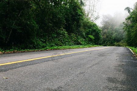 与自然林和雾雨相交的公路薄雾森林缠绕图片