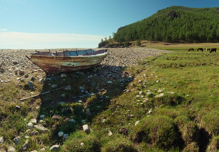 在贝加尔湖Baikal石子海岸的老船马牧场美丽旅行夏天图片