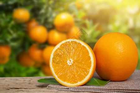 有机的成熟花园橙子桌图片