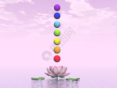 平静的禅脉轮粉红色白日Chakras3D制成的花朵上图片