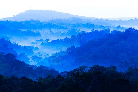 白色的复制抽象清晨薄雾中蓝山的风景地摘要层和雾树林的青节日假期概念苏夫特关注山地图片