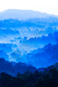 清晨薄雾中蓝山的风景地摘要层和雾树林的青节日假期概念苏夫特关注山地泰国景观波纹图片