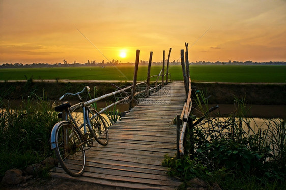 美丽的自然景观和美丽的橙色日落自行车挂在木栅栏上小桥横渡河流距离遥远的绿稻田是惊人的色树图片