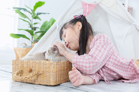 在家里木篮子玩猫的小女孩朋友概念在家中玩猫肖像咪爱图片