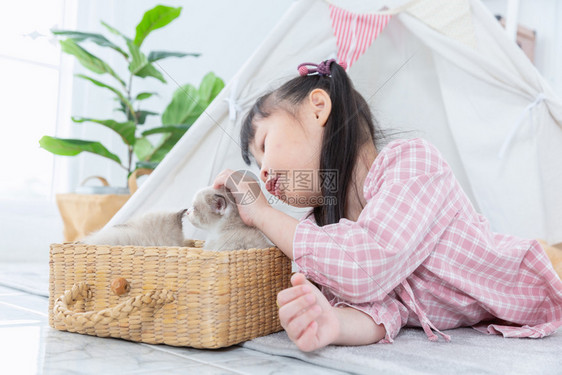 在家里木篮子玩猫的小女孩朋友概念在家中玩猫肖像咪爱图片