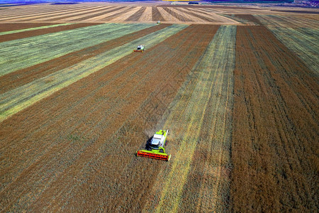 A实地合并收割机的空中观察2186农村机器无人图片