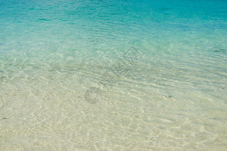 海岸景松弛风和蓝色海浪的潮流图片