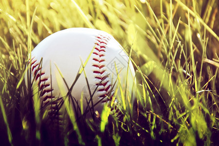 墙纸Instagram古老照片中的草地棒球自然优质的图片
