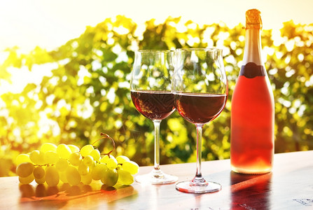 拉沃葡萄园梯田水果植物柴金红酒和葡萄背景