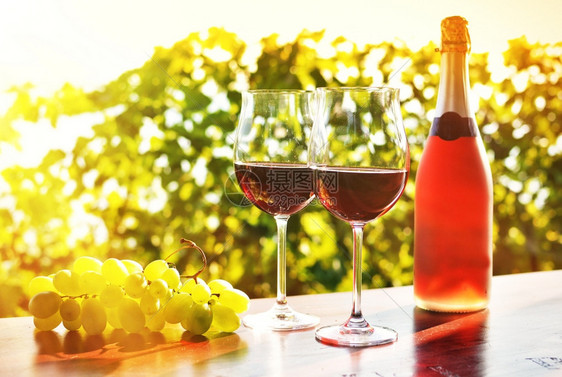 水果植物柴金红酒和葡萄图片