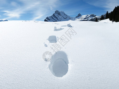 冬季雪景风光图片