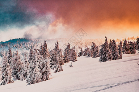 令人惊叹的冬季奇幻地貌与雪花林风景优美惊险旅行图片