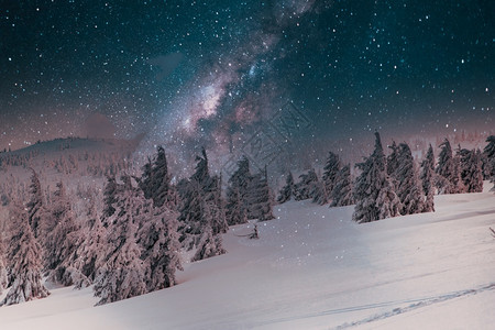 令人惊叹的冬季奇幻地貌与雪花林苍白冰树木图片