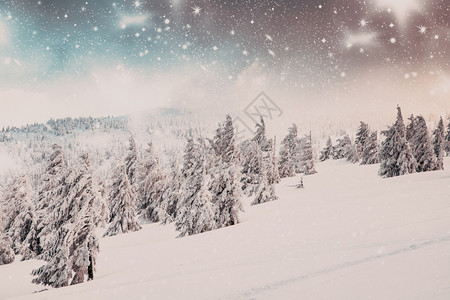 令人惊叹的冬季奇幻地貌与雪花林颜色冬天旅行图片