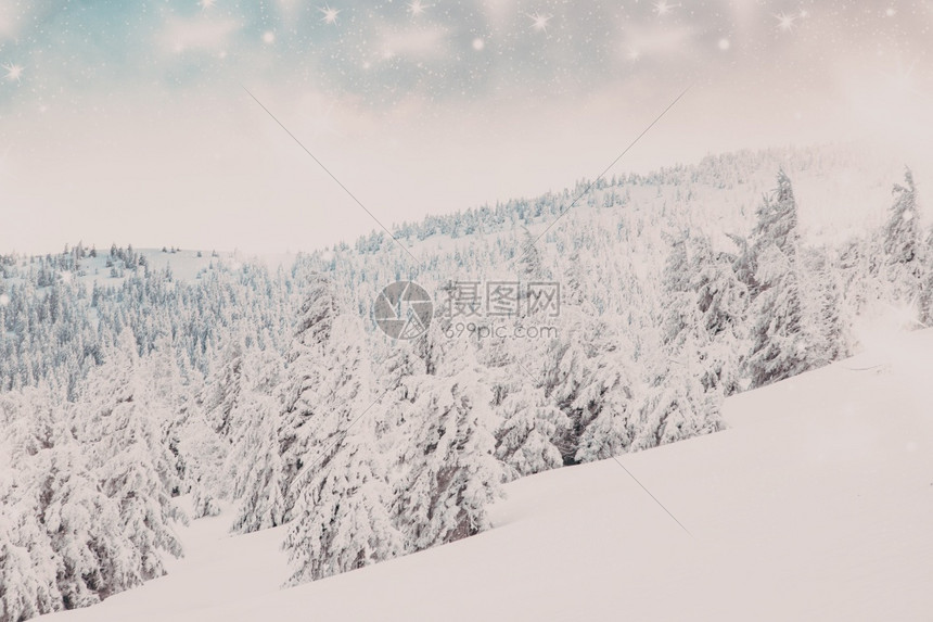 寒冷的令人惊叹冬季奇幻地貌与雪花林自然降图片