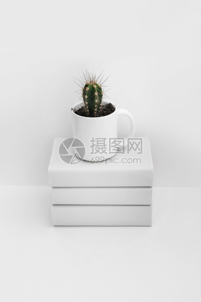 形象的仙人掌白杯堆叠的书本孤立白背景色的粉丝高清图片下载 正版图片 摄图网
