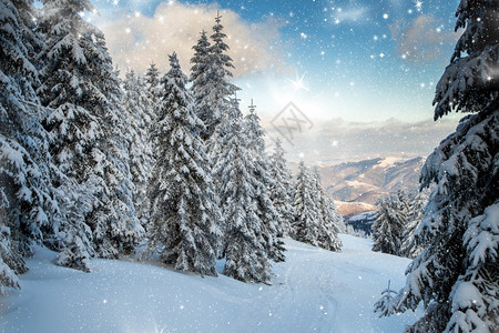 天空霜令人惊叹的冬季风景有雪卷毛树自然图片