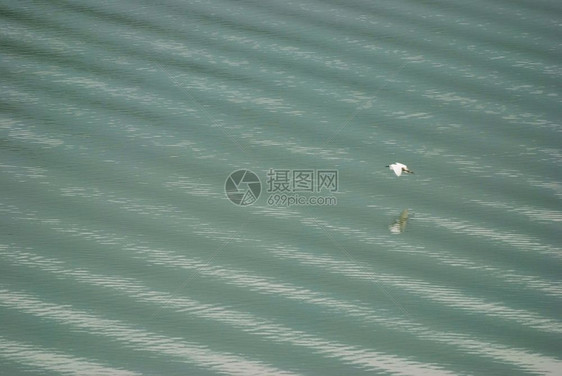 游客白埃布雷特飞过大湖奢华生活图片