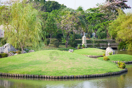 风景优美植物群公园内花池塘中的草坪院子图片