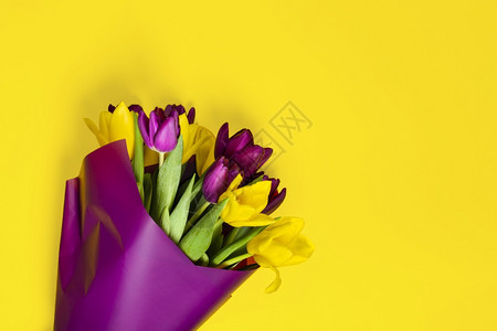 女黄色背景上和紫郁金香花束带复制空间的贺卡模板3月8日假期概念Womenrsquos日Valentinesquos日mother图片