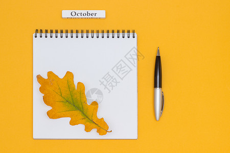 10月秋天的纸笔图片