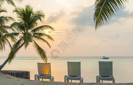 景观阳光梦幻海滩度假日出在海边的与棕榈树和甲板椅一起过梦幻海滩度假夏天图片