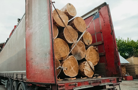加载工业的用卡车运输松木材用卡车松木材户外图片