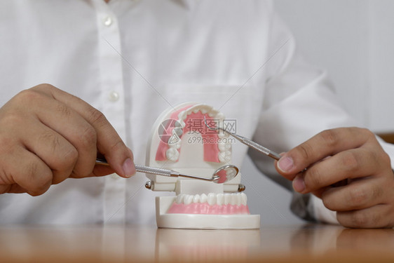 牙齿模型工具概念图片