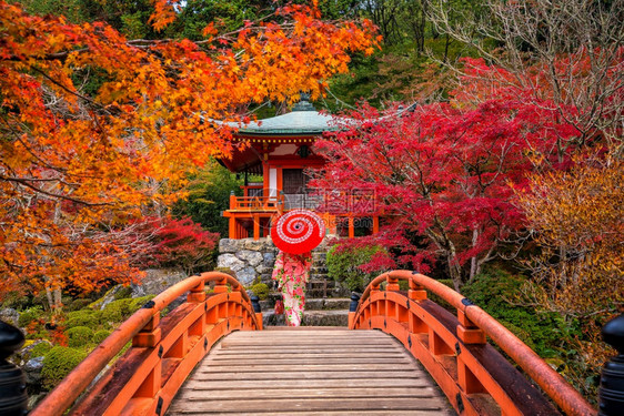 穿着日本传统和服的亚裔女孩图片