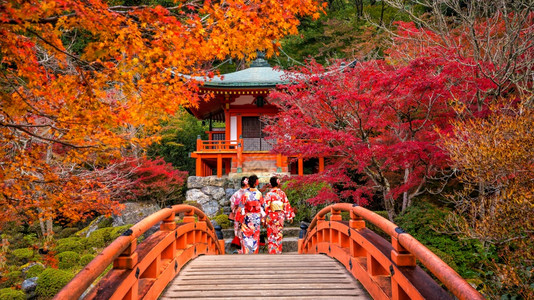 自然女青年在秋天Daigoji寺庙穿着传统日本Yukata的红树醍醐美丽的图片