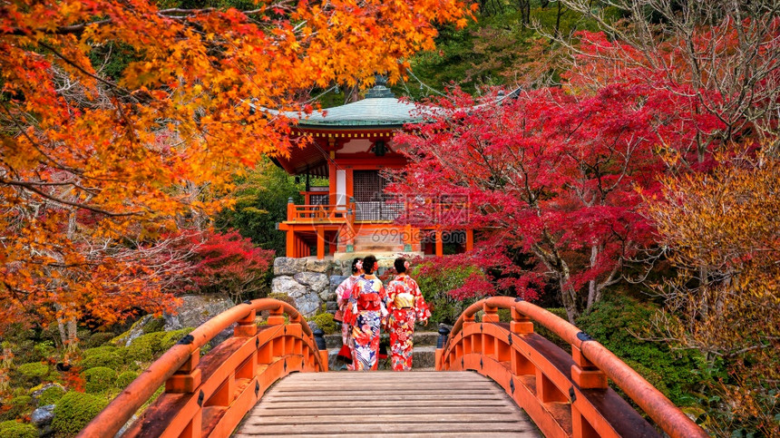 自然女青年在秋天Daigoji寺庙穿着传统日本Yukata的红树醍醐美丽的图片