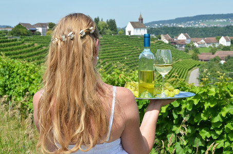 瑞士里海瑙葡萄园的酒和农业庆祝托盘图片