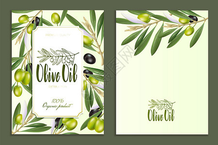 向量产品设计广告海报明信片笔画橄榄油制品标签的广告海报明信片和标签绿色图片