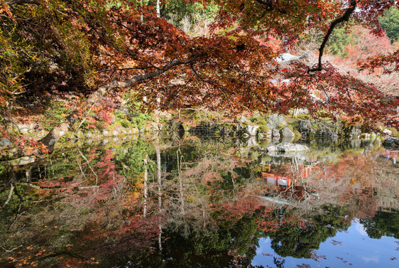 秋天公园池塘倒影图片