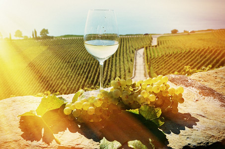 拉沃葡萄园梯田瑞士拉沃葡萄和酒农业山秋天背景