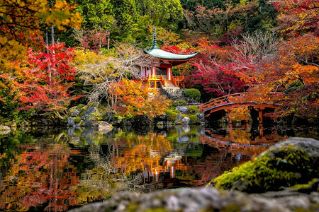 佛亚洲人枫日本京都秋天戴高二寺庙树林多彩图片