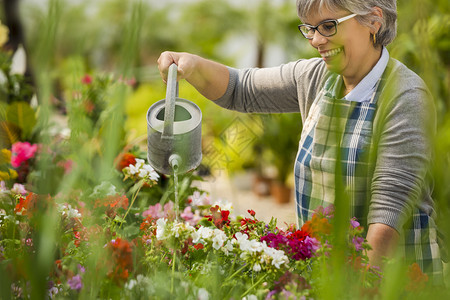 一种室内植物卖方美丽的成熟女人在花园浇的朵中图片