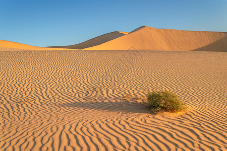 旅行垃圾摇滚在沙漠丘上晒日落橙图片