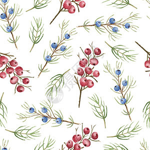 传统常绿无缝图案与蓝色和红浆果的花朵水彩圣诞插图无缝案与蓝色和红浆果的花朵水彩圣诞插图产品图片