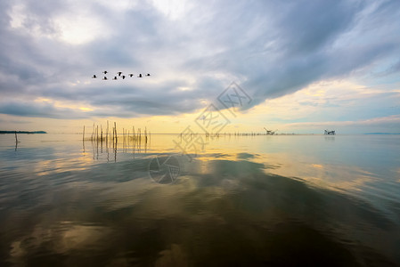 传统泻湖宋卡上美丽的自然景观日出水面平静反射金色的光芒和明亮天空而一群鸟儿在泰国博他仑的帕克普拉运河飞出鸟类图片