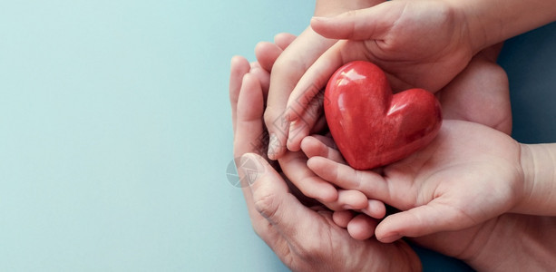 胆固醇血液同情在水底背景心脏健康捐赠企业社会责任概念世界心脏病日卫生家庭等方面握着红心的图片