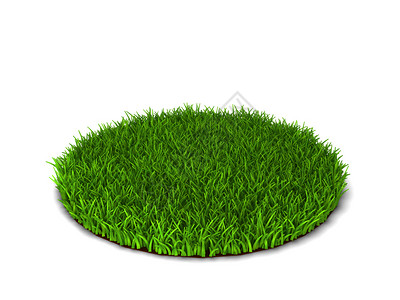 新鲜的夏天足球以白色背景孤立的绿草3d插图图片