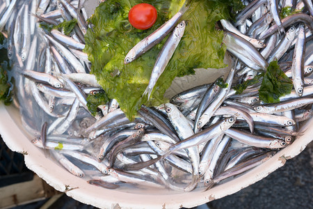 鳀鱼意大利那不勒斯市场上的海鱼Anchovies尾状新鲜的图片