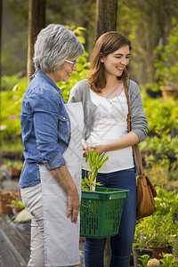 快乐的春天绿色美成熟的花店商帮助女顾客选择植物图片