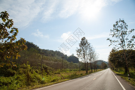 双方那里沿路两边都有树木和山丘公路两侧都有树木和山林旅行图片