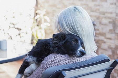 乐趣感情美丽的caucasian女孩拥抱她的狗宠物坐在家中露台的椅子上国内图片