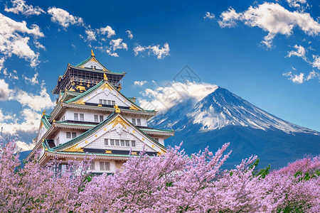 藤山和城堡春天有樱花优质的文化蓝色图片