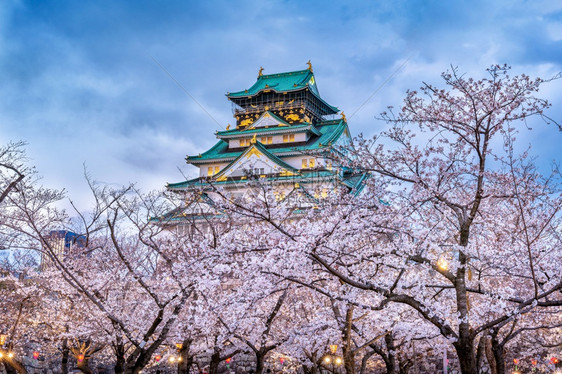 地标旅行日本大阪樱花和城堡桃图片