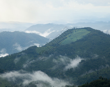 山地复合岩雾覆盖了山坡和林地清晨夜凉爽草地多雾路段木头图片